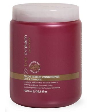 Кондиціонер для фарбованого волосся Inebrya Pro-Color Color Perfect Conditioner 1000мл