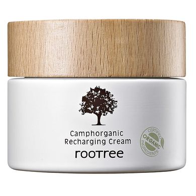 Крем для обличчя відновлювальний Camphorganic Recharging Cream RooTree 60 г