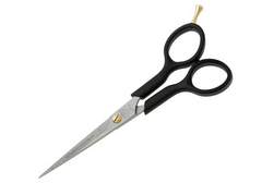 Ножницы для стрижки Kiepe Ergonomix Professional 6,0